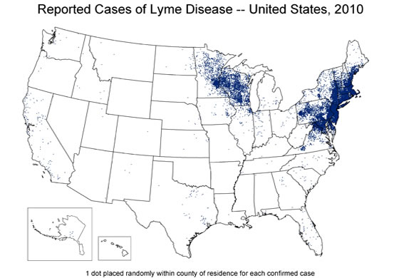 Lyme Disease